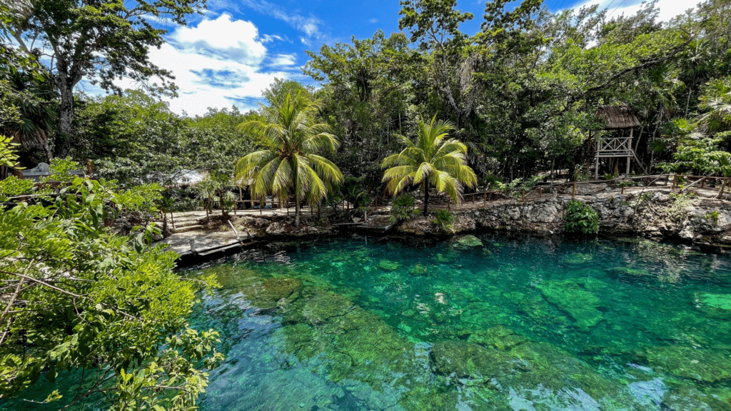 Clear cenote surrounded by tropical palms and greenery