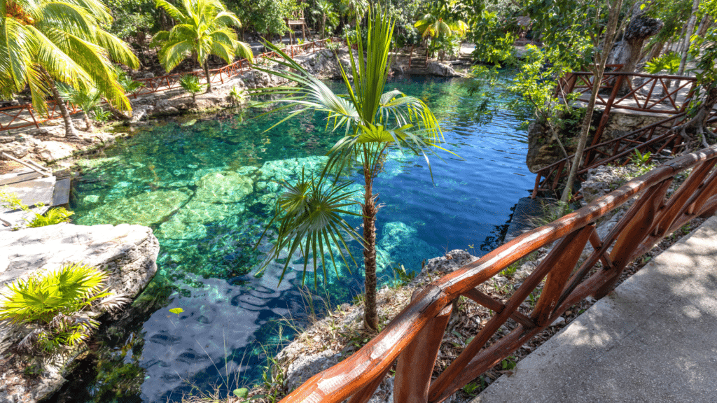 Tropical cenote surrounded by palms and wooden walkways