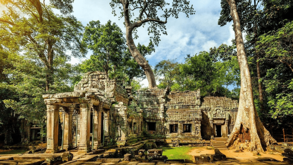 Ancient Ta Prohm temple surrounded by towering jungle trees